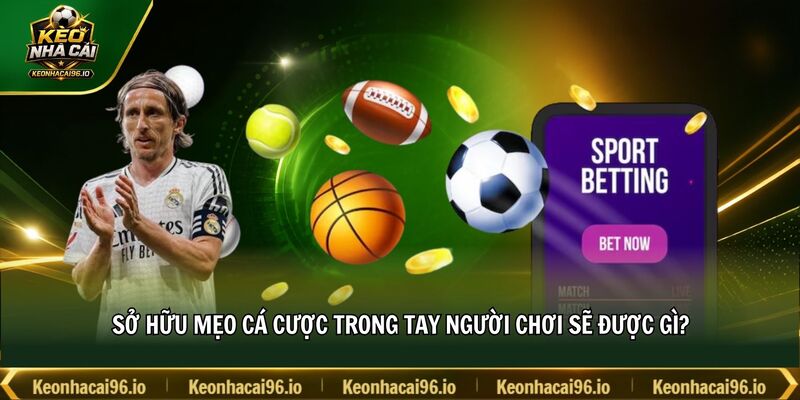 Sở hữu mẹo cá cược trong tay người chơi sẽ được gì? Sở hữu mẹo cá cược trong tay người chơi sẽ được gì?